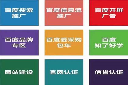 竞价广告案例分析：跨媒体广告投放策略